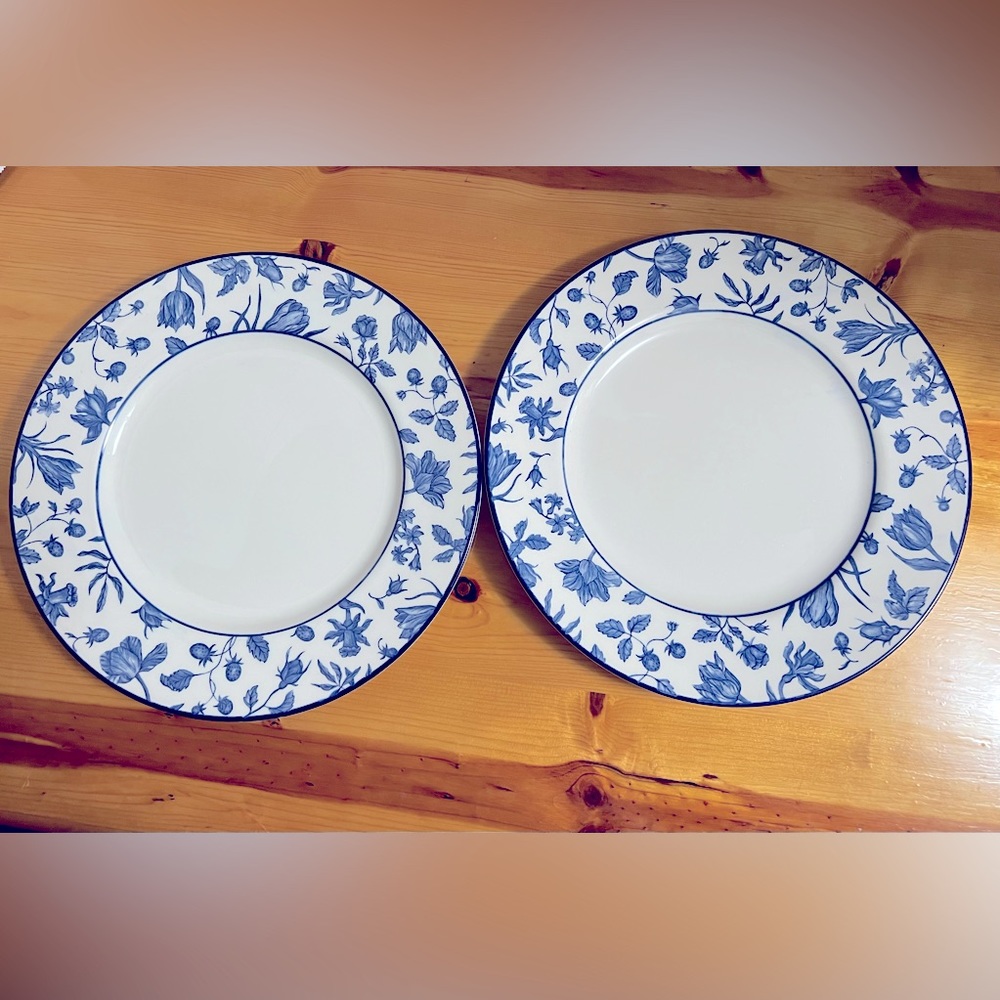 2 Royal Stafford Spring Garden Dinner Plate Set Blue White Flower Leaves England